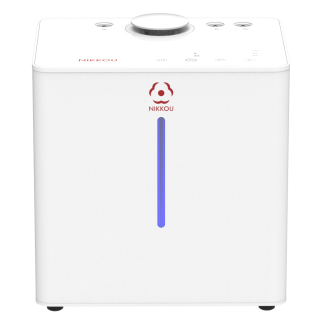 大氣量水解氫呼吸機(NK600)